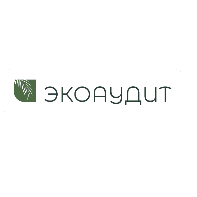 ЭкоАудит