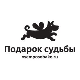 Подарок судьбы