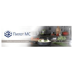 Пилот МС