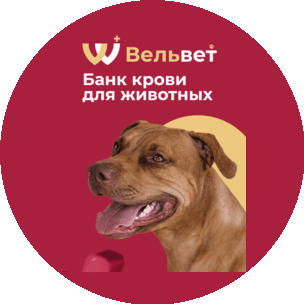 Ветеринарный банк крови Вельвет
