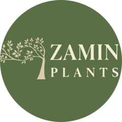 ZAMIN PLANTS