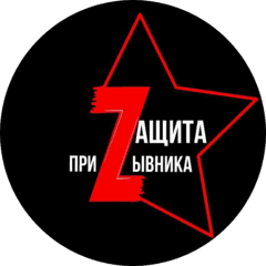 Защита Интересов Призывника