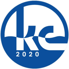 Комплексные Системы 2020