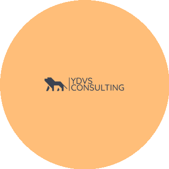 YDVS iGaming Consulting