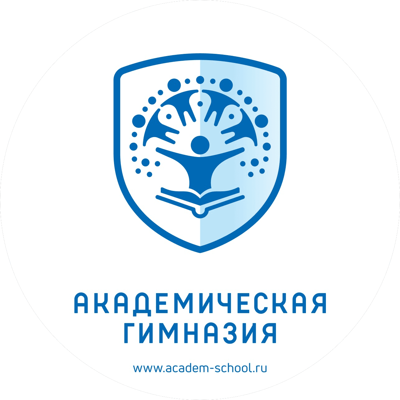 СОШ Академическая Гимназия