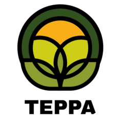Терра