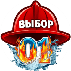 Выбор-01