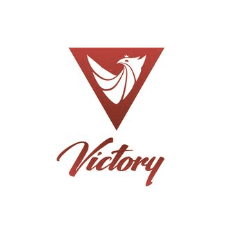 Спортивная компания Victory