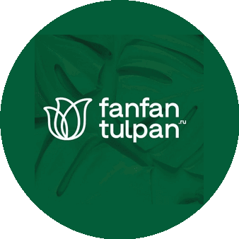 FanFanTulpan