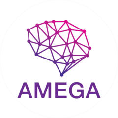 AMEGA ITS