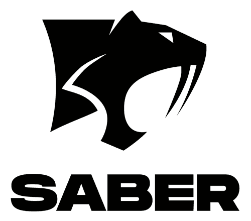 Saber Interactive
