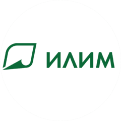 Группа Илим