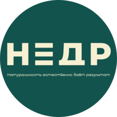 Недр