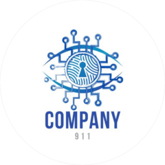 Компания 911