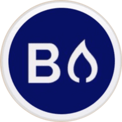 Катрич Полина Викторовна