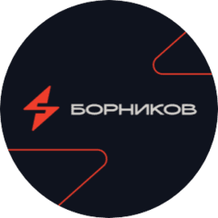 Борников Андрей Сергеевич