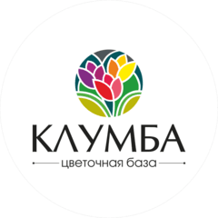 Клумба