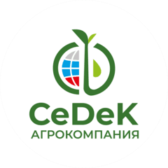 СеДеК Домодедово