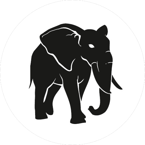 Слон-Электроникс