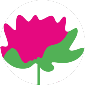 Кристи Косметикс