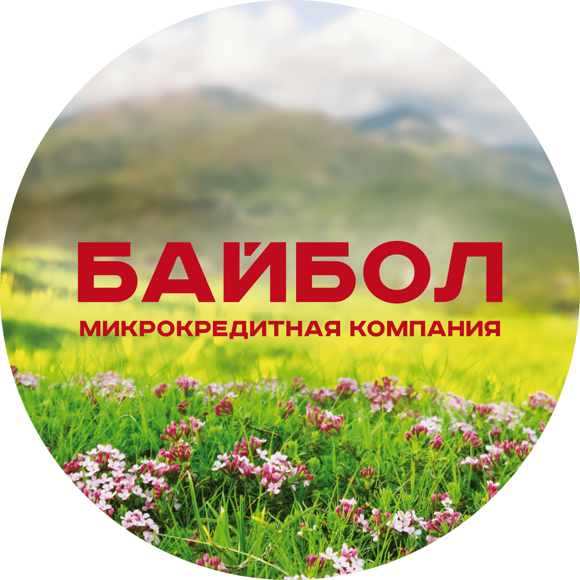 Микрокредитная Компания Байбол