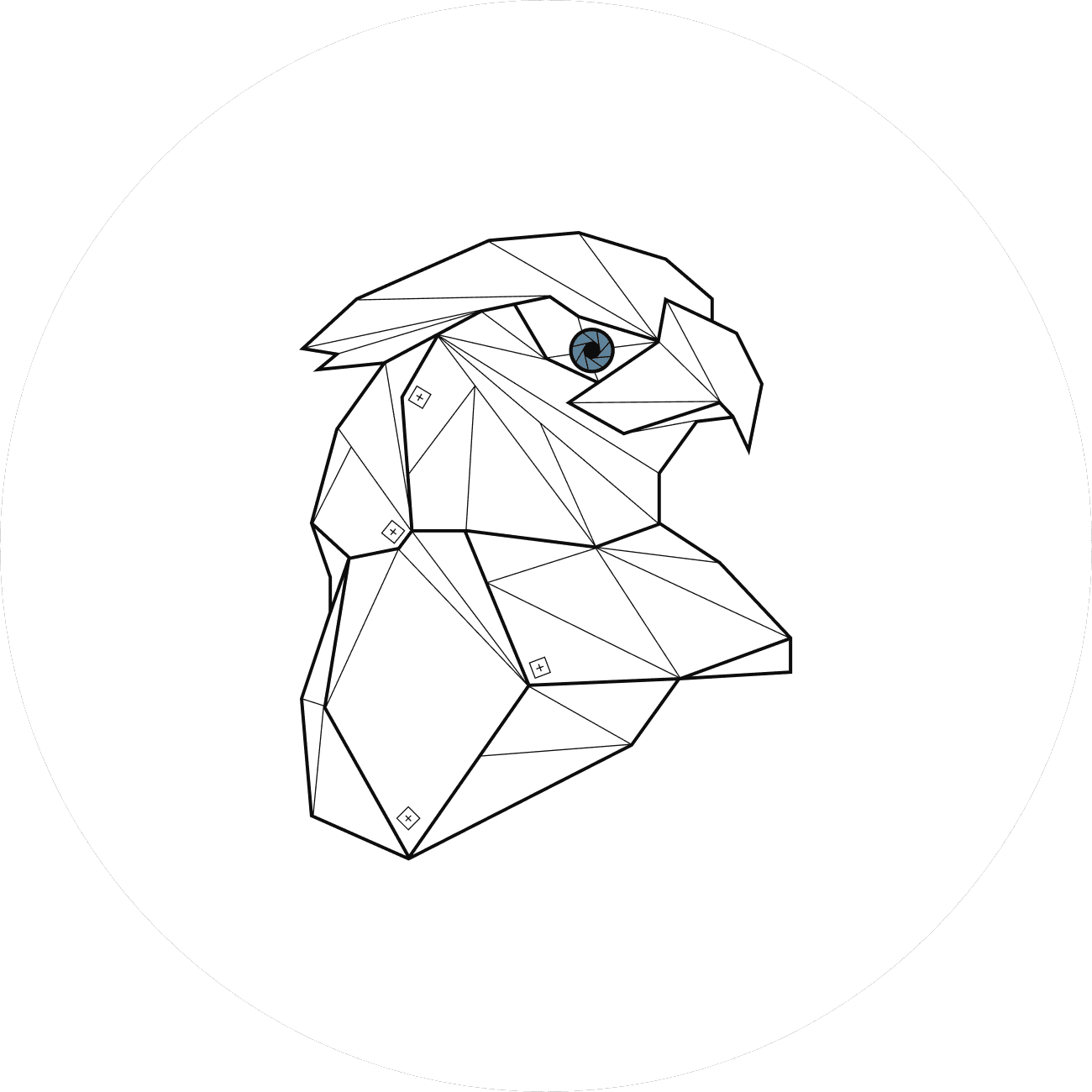 Стрит Фалькон