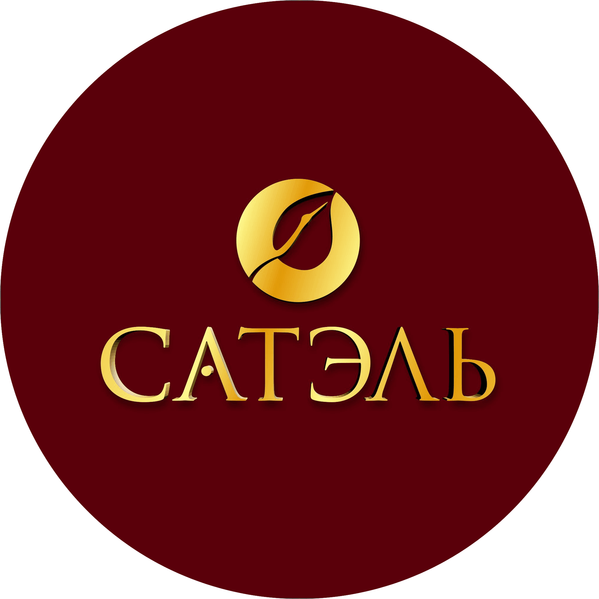 Сатардинова Эльмира Евгеньевна