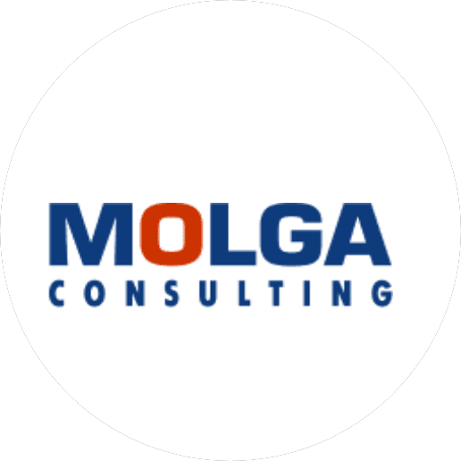 MOLGA Consulting (МОЛГА Консалтинг)