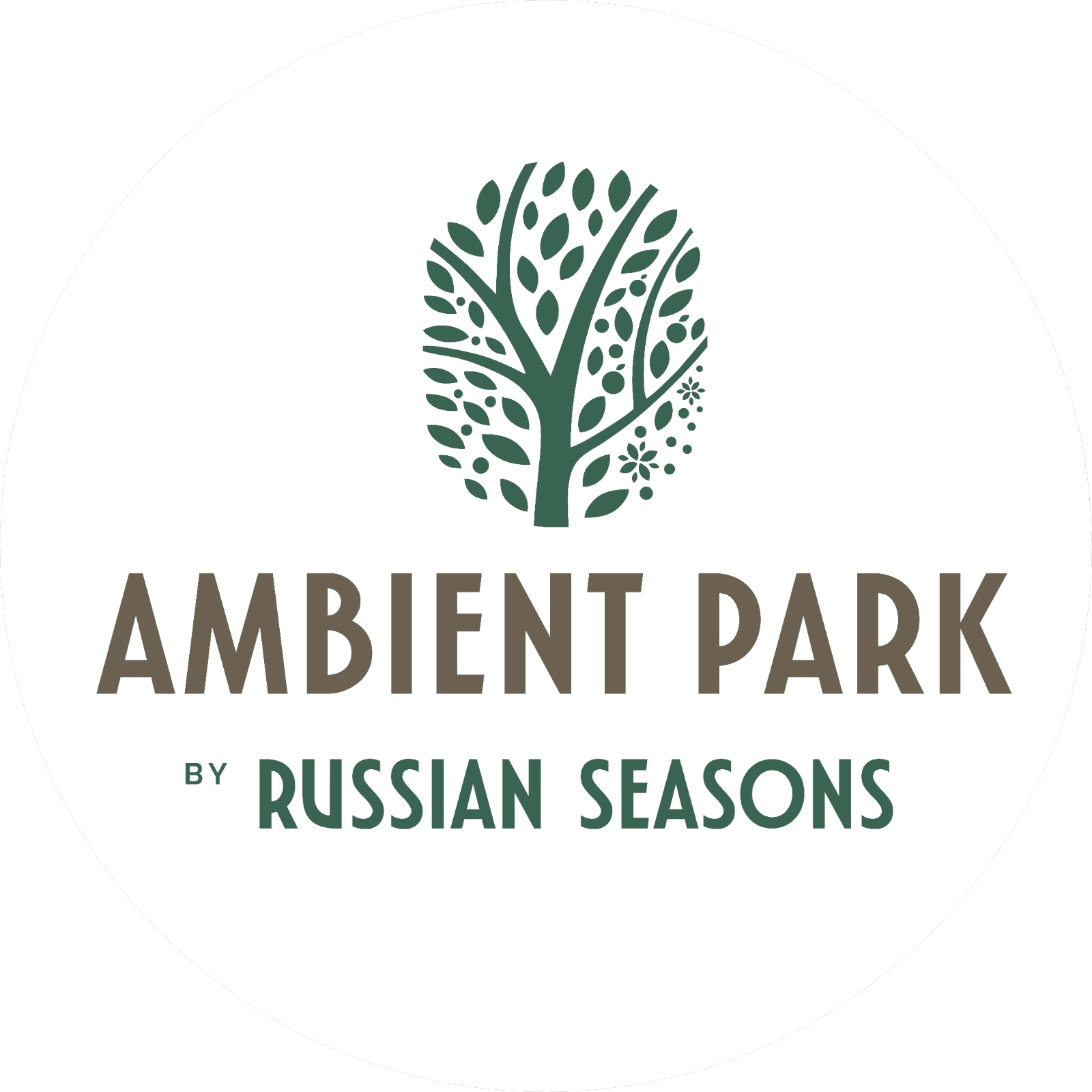 Эмбиент Парк