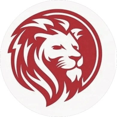 Профи Казань