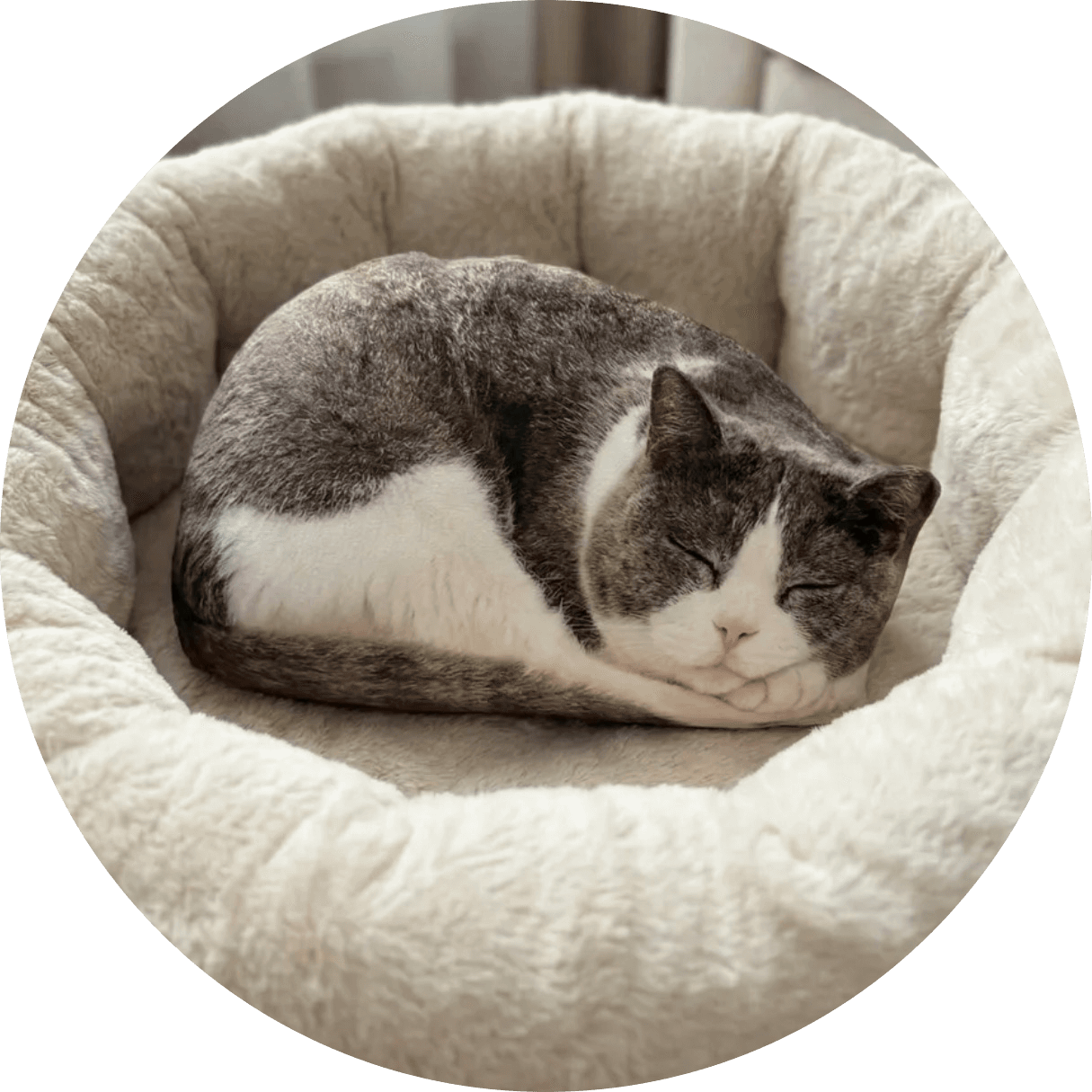 Нечаев Антон Александрович