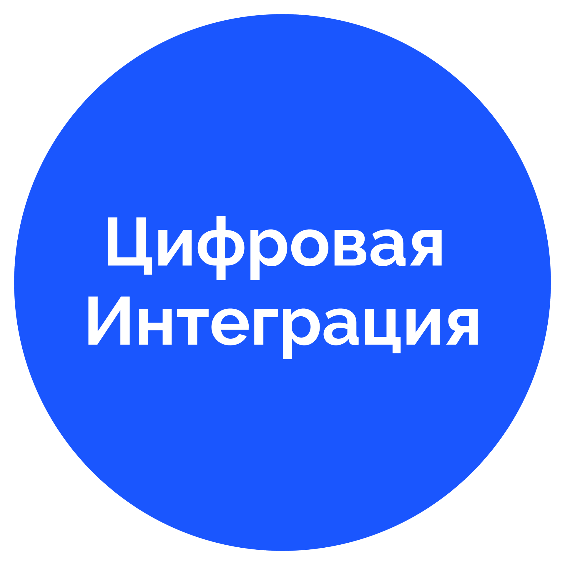 Цифровая Интеграция