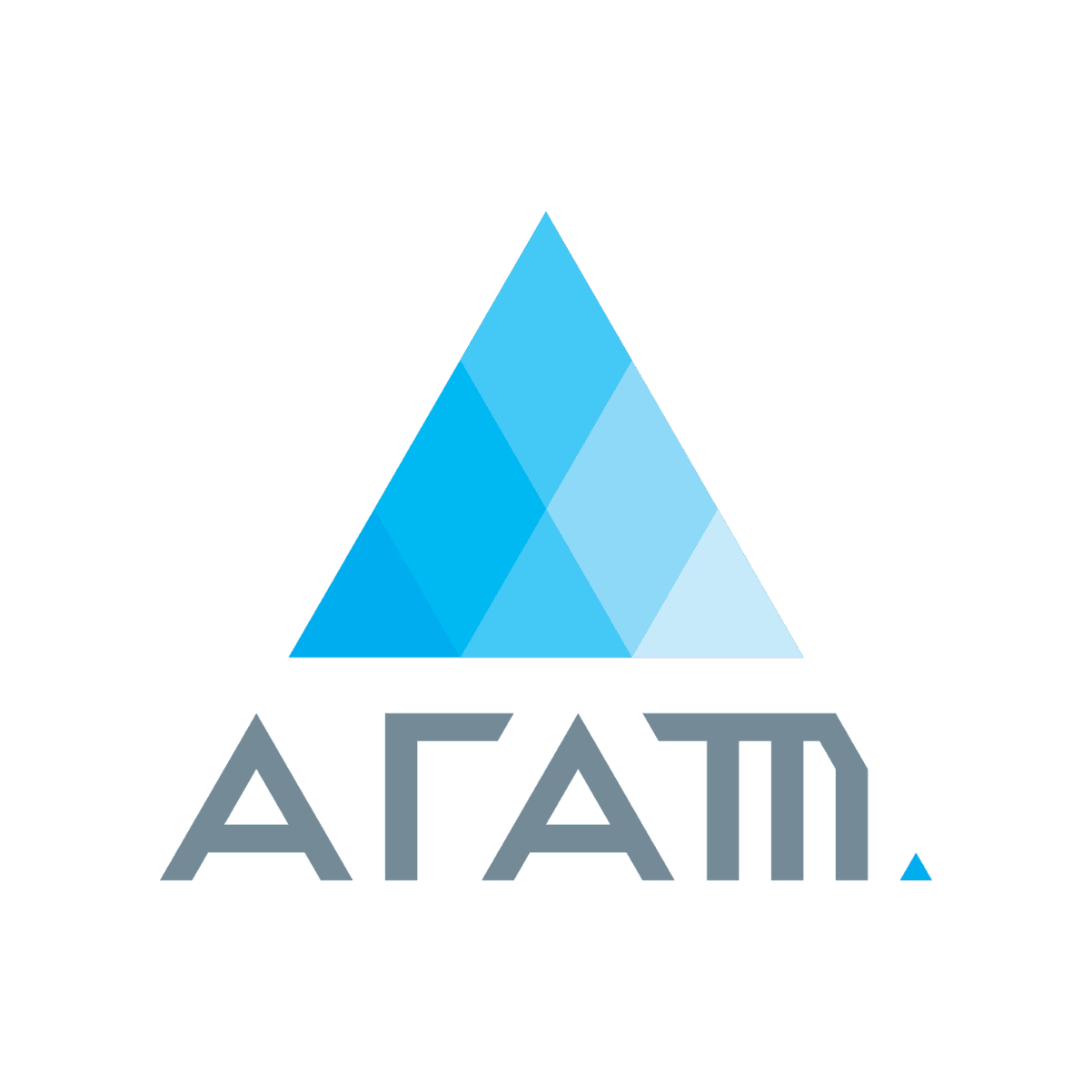 Организация Агат