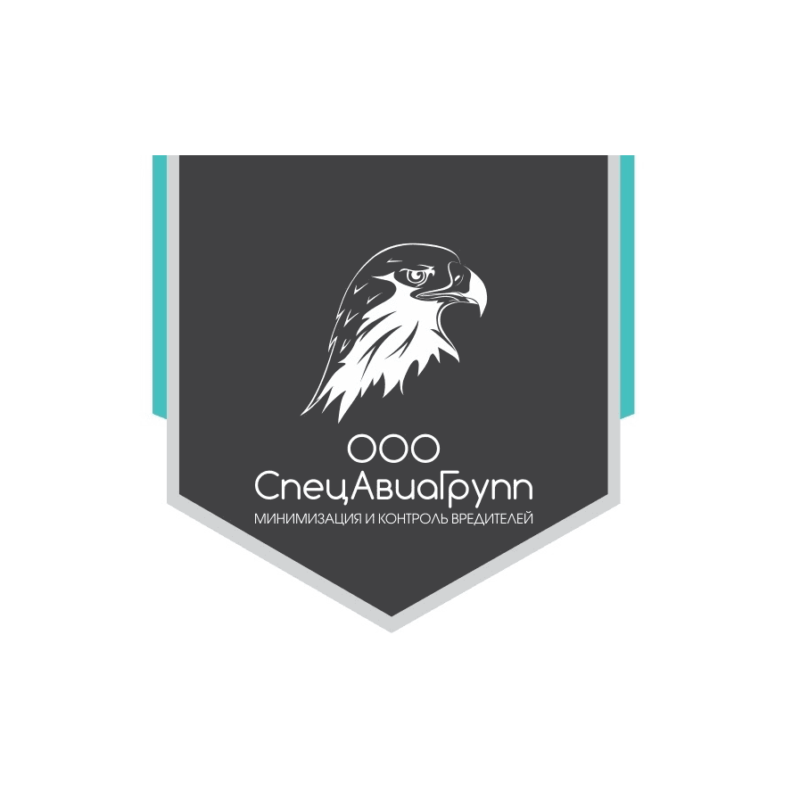 СпецАвиаГрупп