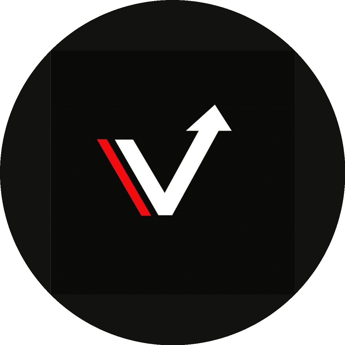 Федеральная Академия вождения Вектор