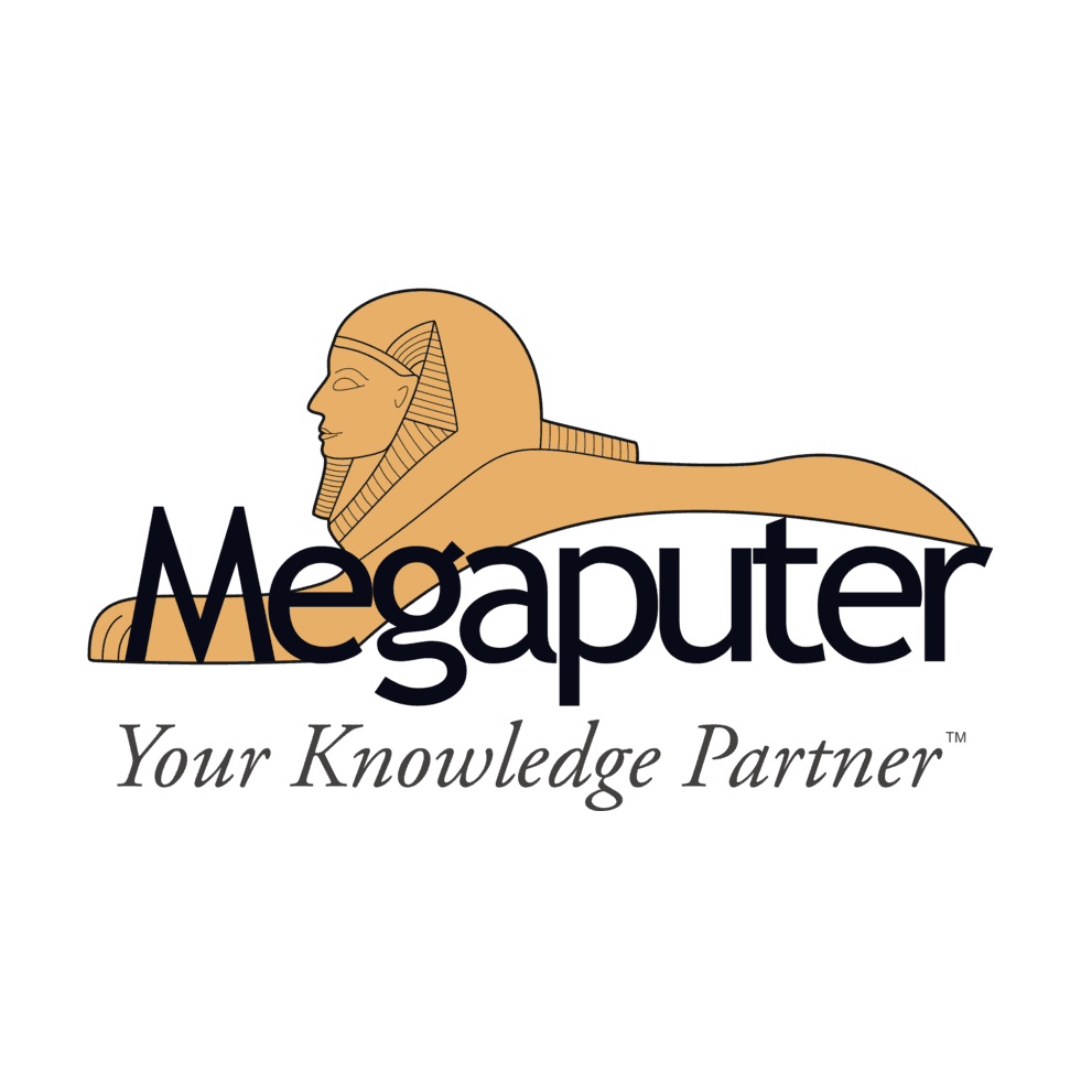 Megaputer Intelligence, Компания