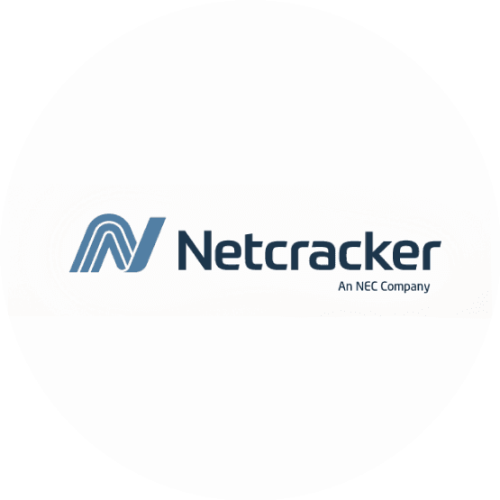 Неткрэкер Текнолоджи Казахстан