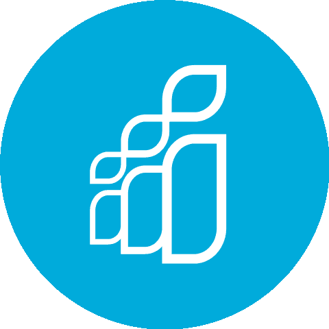 Software Country (ТОО Балхаш Системс)