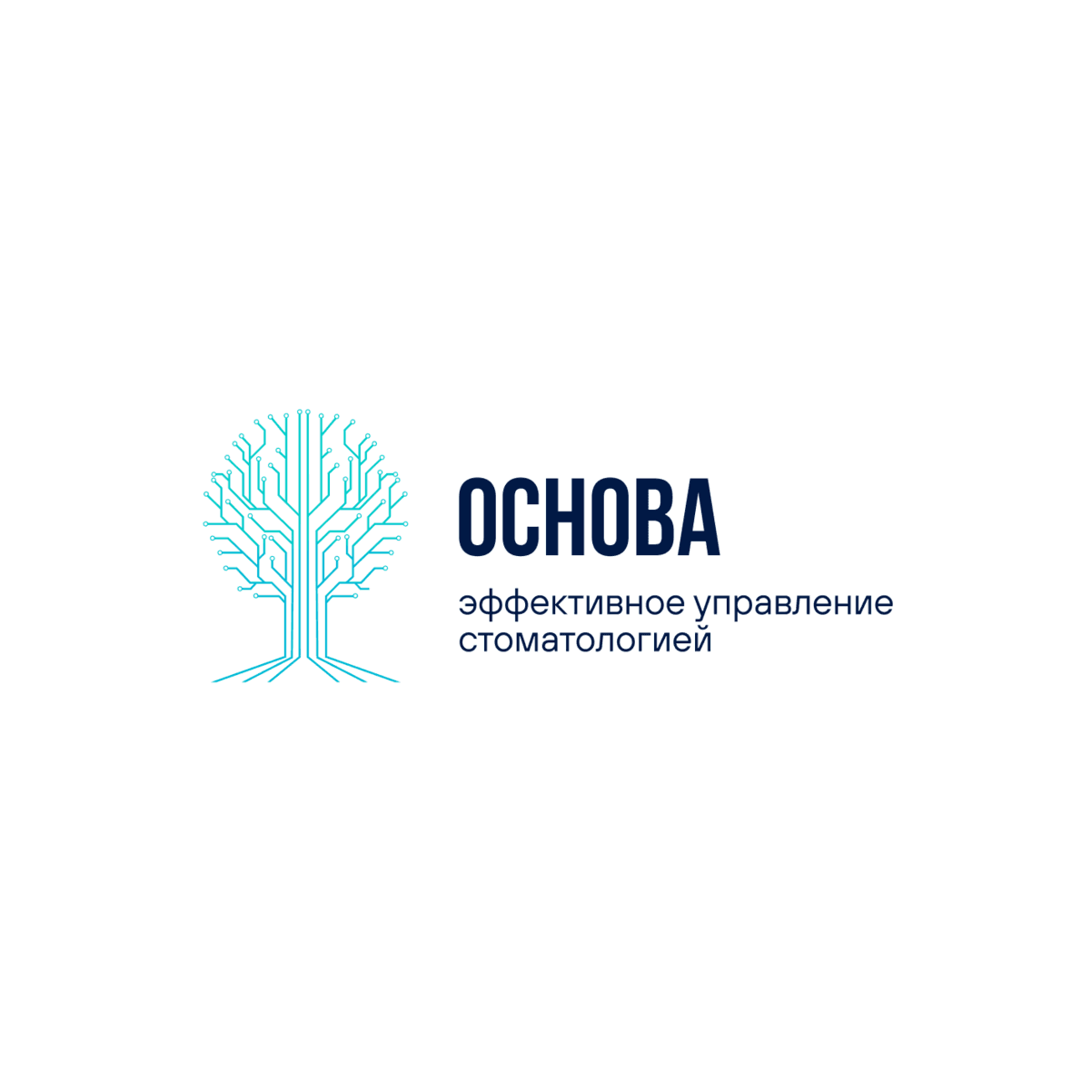 Консалтинговая компания Основа