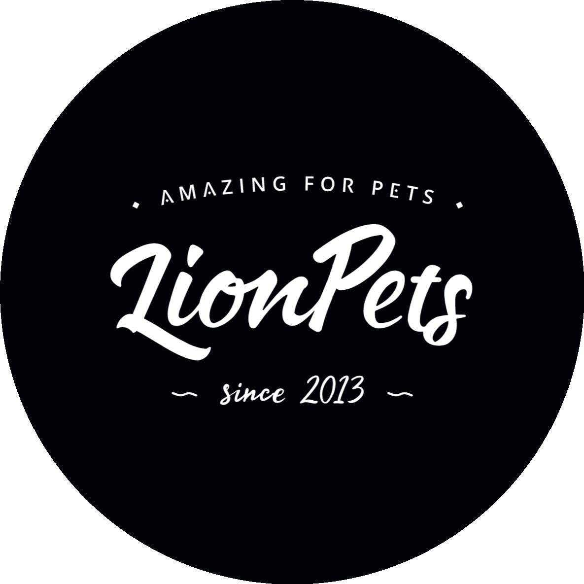 Силаев Дмитрий Сергеевич