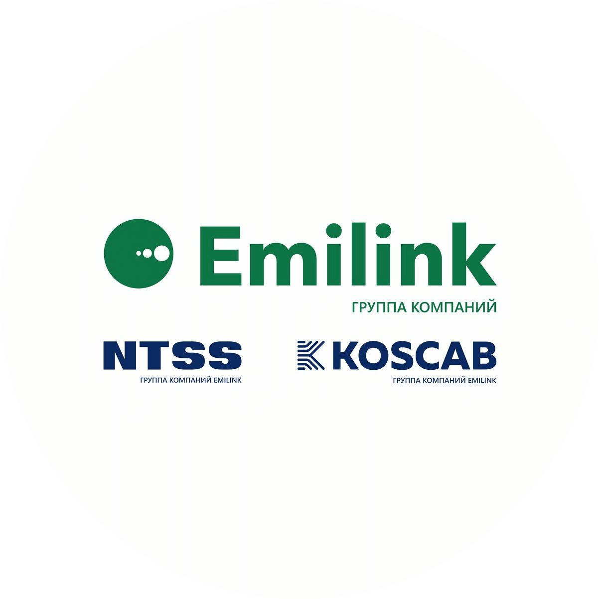 Группа компаний ЭМИЛИНК