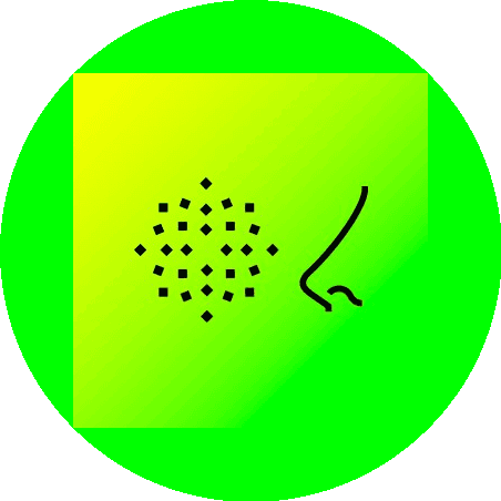 Библиотека Шоп