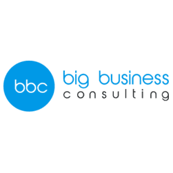 Big Business Consulting