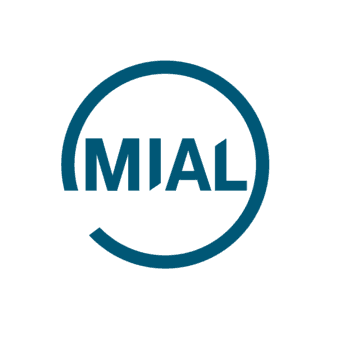 Аудиторская фирма МИАЛаудит