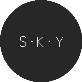 Веб-студия SKY