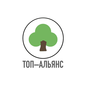 ТОП-АЛЬЯНС