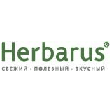 Гербарика