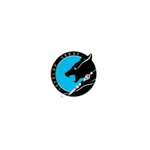 TOPOLOV GROUP