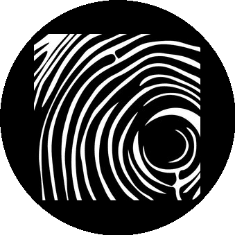 Авторский проект