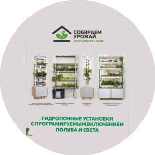 Собираем Урожай